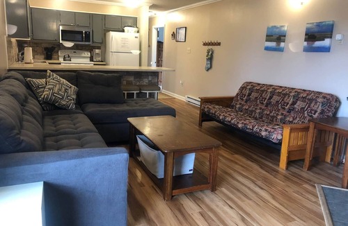 Ghent Apartment | Winterplace Condo E306