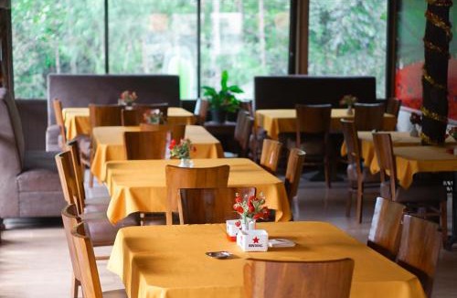 Tadonkon Hotel | wisma rotterdam