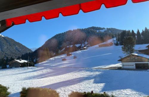 Zweisimmen Nr Gstaad Apartment | Wispile Holiday apartment