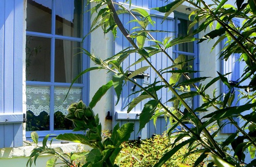 Wissant House | Wissant : Maison De Charme - Fisherman's House.