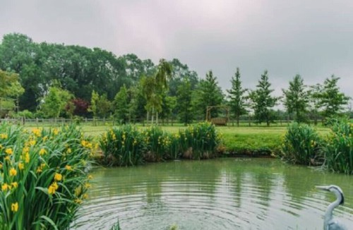 Selsted Cottage | Wisteria Cottage, Hoad Farm