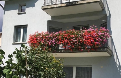 Li Curt Apartment | Wohnung mit Bergblick by Interhome