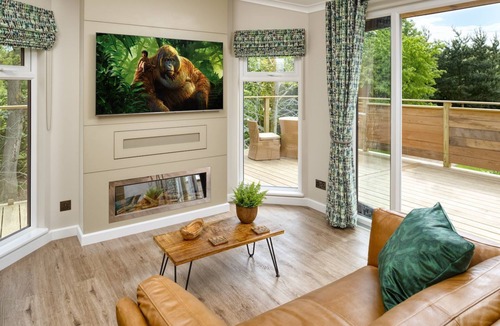 Low Catton Cabin | Wolds Edge Treehouse