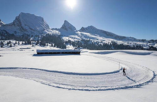 Wildhaus Apartment | Wonderful, spacious vacation apartment with separate wellness area.