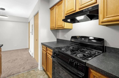 Alsip Apartment | Wonderful 2-bedroom apartment with AC in lovely Alsip