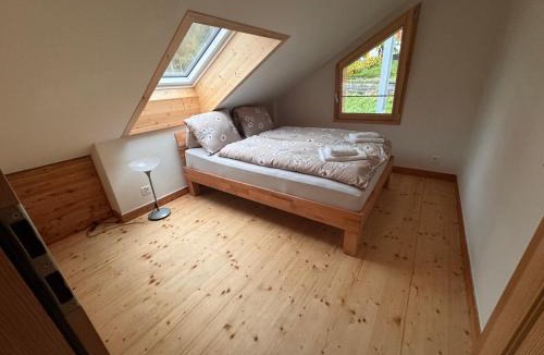 Oberried am Brienzersee Apartment | Wonderful Apartment with Lake View