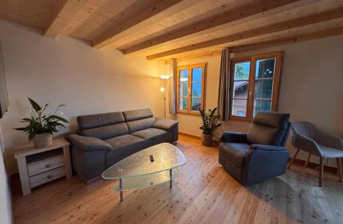 Oberried am Brienzersee Apartment | Wonderful Apartment with Lake View