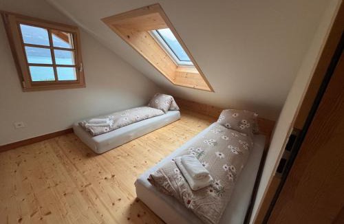 Oberried am Brienzersee Apartment | Wonderful Apartment with Lake View