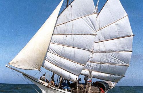 Cheras Boat Rental | Wonderful boat travel