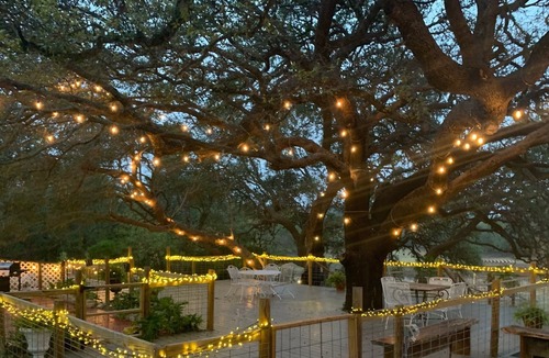 Blanco House | Wonderful Farm House on 10 acres