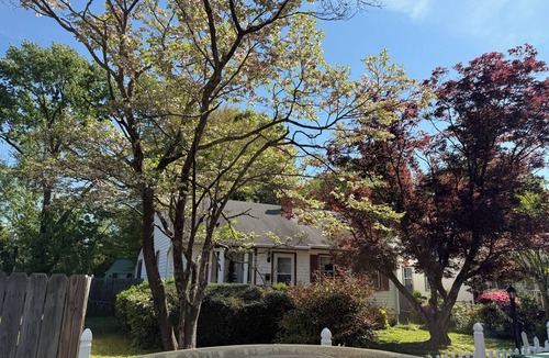 Highland Springs House | Wonderful Queen Bedroom w Attached SunRoom n SHARED BATHROOM in charming House