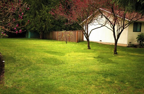 Everett House | Wonderful Spacious 1B1b Private Entrance.Boeing . AC