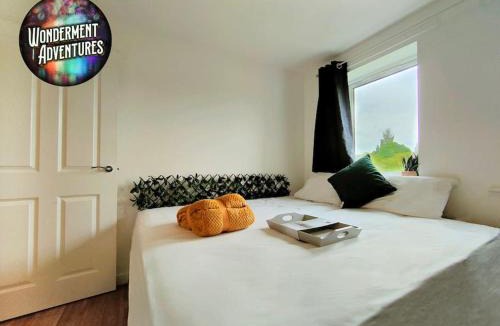 Birmingham Apartment | Wonderful Stay With Nature & Fun