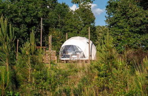 Coldspring House | Wonderland Glamping Geo Dome (Houston)