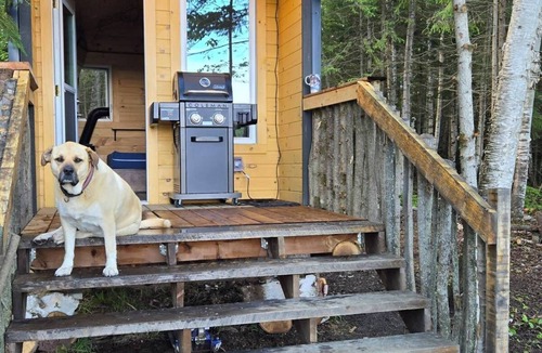 Golden Lake Cabin | Wood Duck Cabin, No Neighbours, Drive too, Pet Friendly