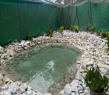 Teluk Nipah House | Woodcookies Guesthouse