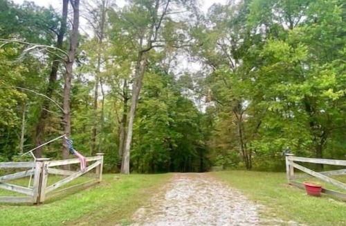 Rock Island Cabin | Wooded Cabin on Rocky River