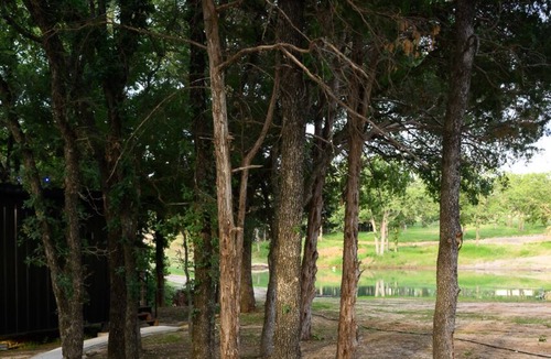 Alvord Cabin | Wooded Cabin w/Pond View near LBJ Grasslands - Book 1 or All 4 Cabins