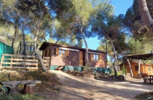 Tibi Ski Chalet | Wooden house