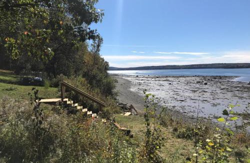 Saint David Cabin | Woodhaven - Seaside Accommodations