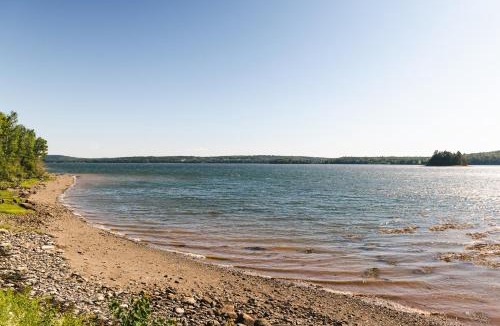 Saint David Cabin | Woodhaven - Seaside Accommodations