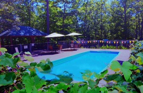 Octavia Cottage | Woodland Cabin near Boat Ramp