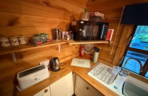 Bury St Edmunds House | Woodland lodge