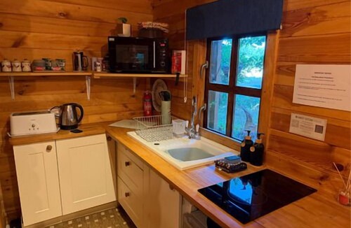 Bury St Edmunds House | Woodland lodge