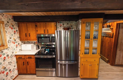 Harbor Springs Ski Chalet | Woodland Lodge - Perfect Family Ski Chalet! Close to Nubs Nob & Boyne!