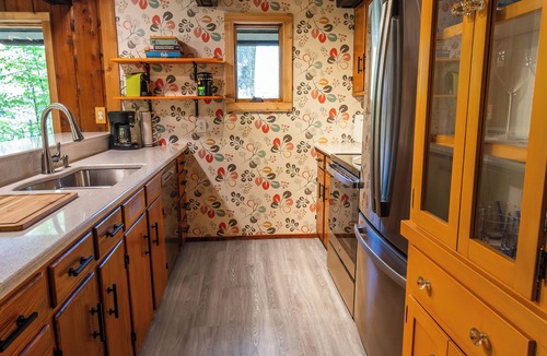 Harbor Springs Ski Chalet | Woodland Lodge - Perfect Family Ski Chalet! Close to Nubs Nob & Boyne!
