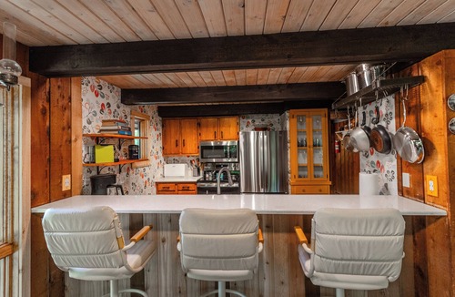 Harbor Springs Ski Chalet | Woodland Lodge - Perfect Family Ski Chalet! Close to Nubs Nob & Boyne!