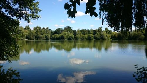 Ancaster Hotel | Woodland Waters