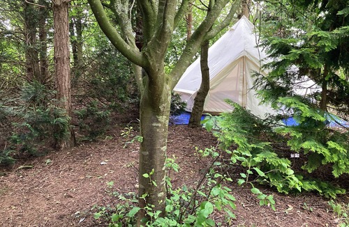 Grantham Cabin | WoodLands Basic Bell Tent