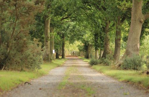 Stratton Strawless Bed & Breakfast | Woodman's Farm