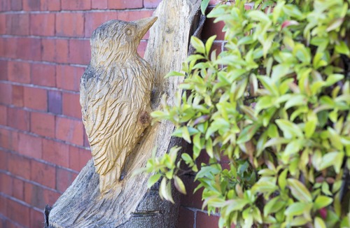 Llangollen Cottage | Woodpecker Cottage