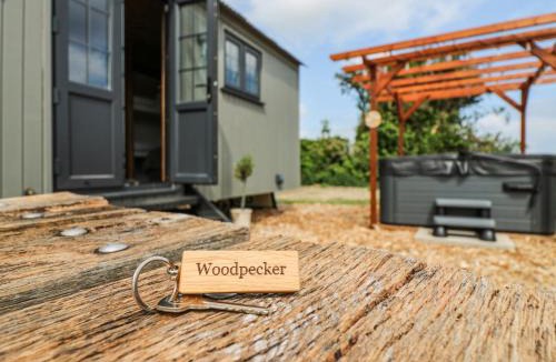 Cambridge House | Woodpecker