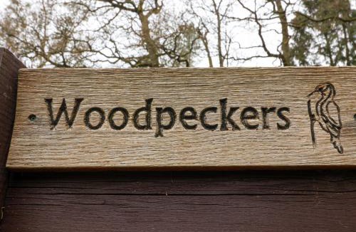 Willand House | Woodpeckers