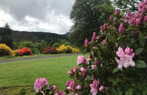 Strathyre Cabin | Woodside Logcabin Ardoch Lodge
