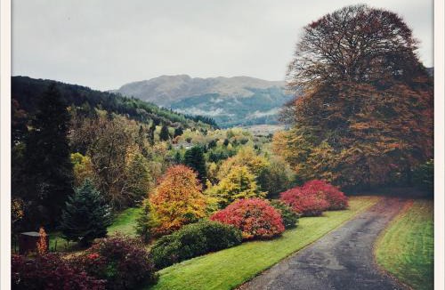 Strathyre Cabin | Woodside Logcabin Ardoch Lodge