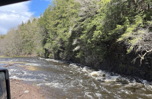 Lewis County Cabin | Woofpackshack #4