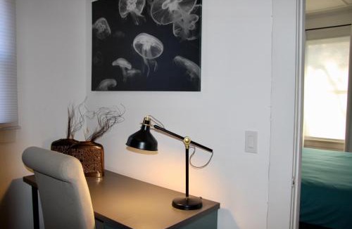 Mill River Apartment | Wooster Square Gems