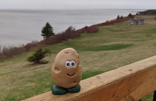 Brae Cottage | Workation, vacation on 350 feet private beachfront