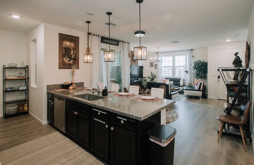 North Natomas House | Worldly ~ Whimsical ~ Wonderful