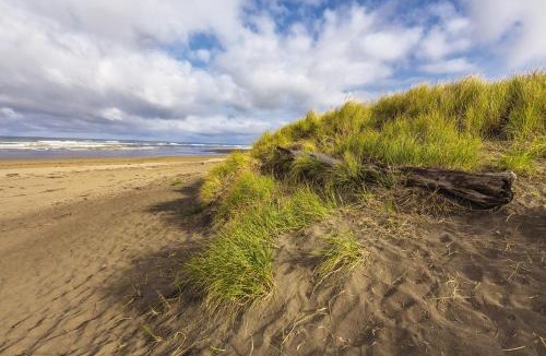Ocean Shores Resort | WorldMark Mariner Village