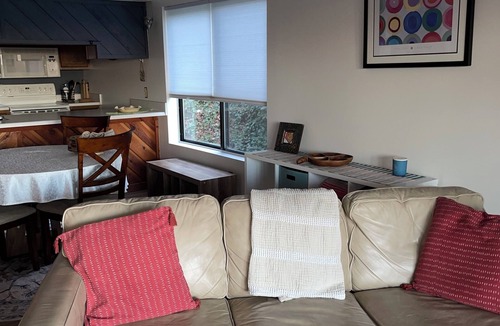 Lake Toxaway Condo | Wow! Condo Directly Overlooking Toxaway Falls!