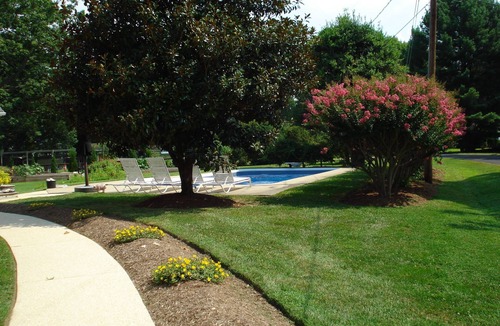 Queenstown Cottage | Wye River Cape