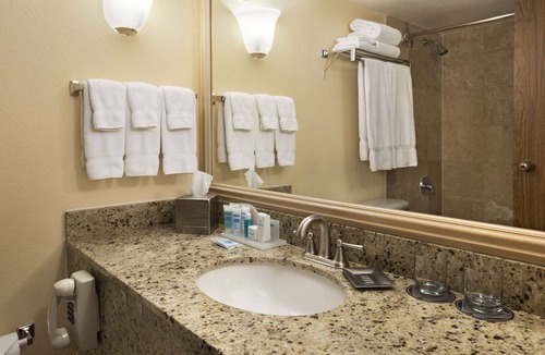Biggs Field Hotel | Wyndham El Paso Airport Hotel & Waterpark
