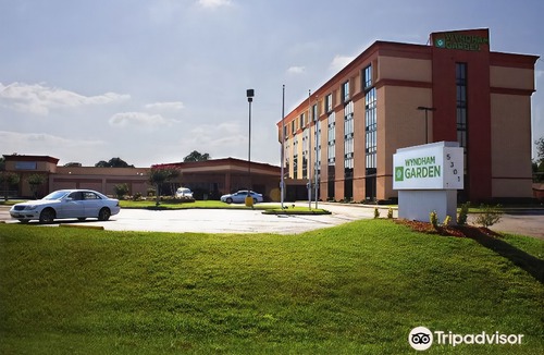 Texarkana Hotel | Wyndham Garden Texarkana