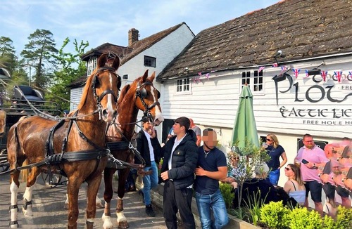Horsham Cottage | Wysteria, North Lodge
