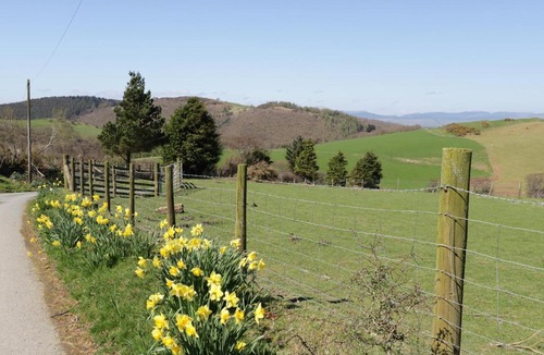 Machynlleth House | Y Daflod